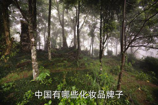 中國的化妝品牌有哪些，國產化妝品 都有哪些品牌