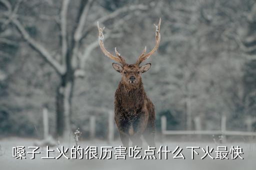喉嚨上火了吃什么降火最快，喉嚨上火吃什么東西能去火能立竿見影