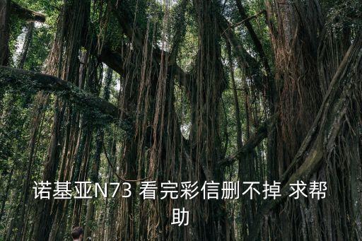 王樂文，諾基亞N73 看完彩信刪不掉 求幫助