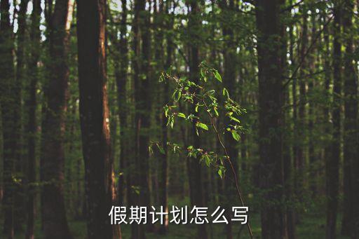 假期計劃，假期的計劃設計
