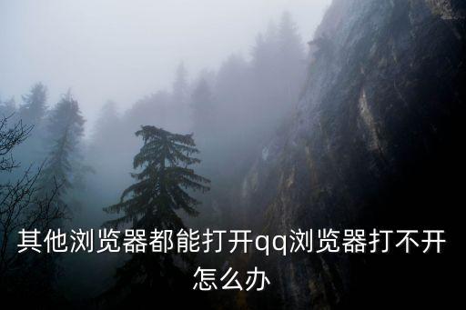 其他瀏覽器都能打開qq瀏覽器打不開怎么辦