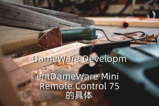 DameWare DevelopmentDameWare Mini Remote Control 75的具體