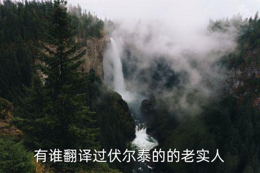 老實(shí)人伏爾泰，有誰(shuí)翻譯過(guò)伏爾泰的的老實(shí)人