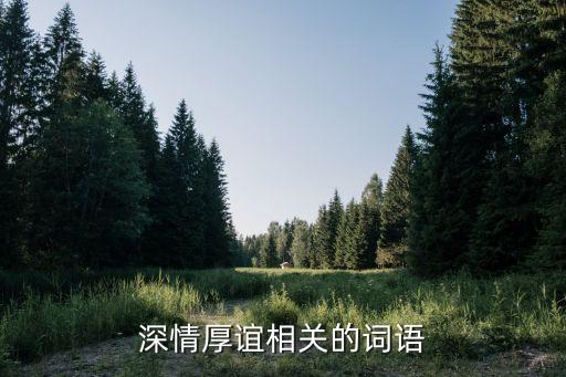 深情厚誼，深情厚誼相關的詞語