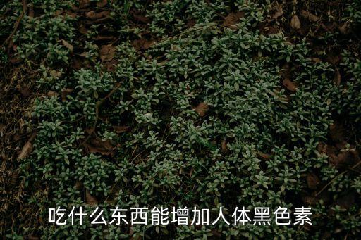 吃什么東西能增加人體黑色素