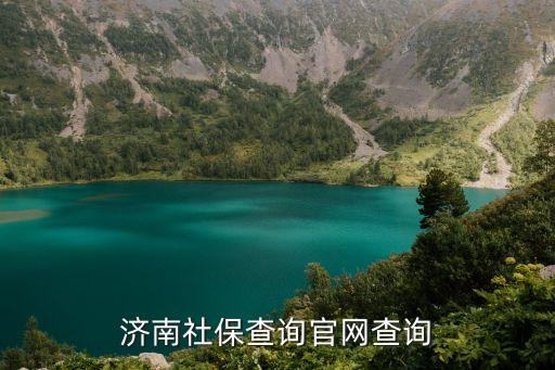 濟南市社保中心官網，濟南市查詢養老保險醫療保險的網址有知道的嗎