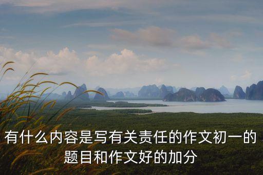 以責任為話題的作文600字，以責任為題目的作文 急急急急急