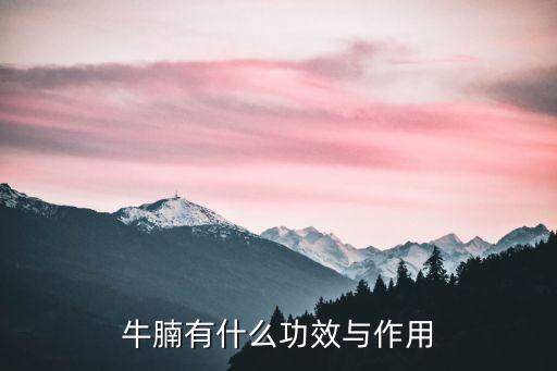 牛腩有什么功效與作用