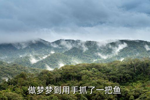 夢見自己用手抓到活魚，夢見手里抓著一條小活魚