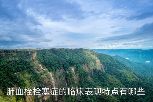 肺栓塞的臨床表現，肺栓塞的臨床表現
