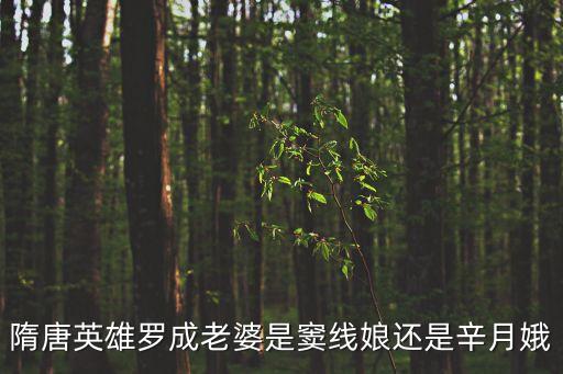 辛月娥，隋唐英雄羅成老婆是竇線娘還是辛月娥