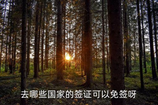免簽國家，持中國護(hù)照可以免簽?zāi)男﹪夷?/></a></span><span id=