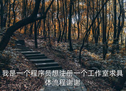 注冊工作室，我是一個程序員想注冊一個工作室求具體流程謝謝