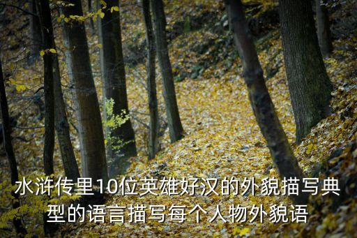 宋江外貌特征，老師留的作業(yè)要魯智深宋江吳用武松林沖的人物描寫及點