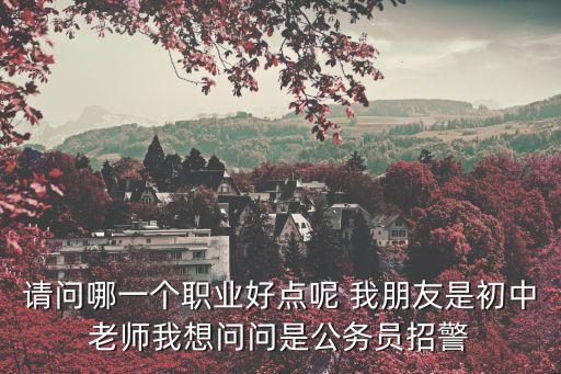 請問哪一個職業(yè)好點(diǎn)呢 我朋友是初中老師我想問問是公務(wù)員招警