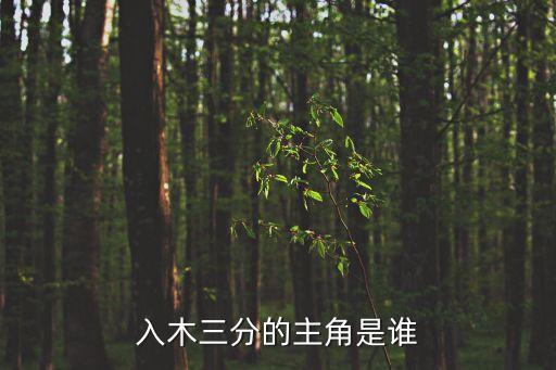 入木三分的主人公是誰，入木三分的主角是誰