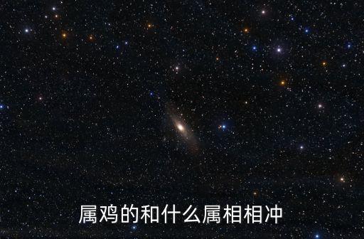 屬雞的和什么屬相相沖