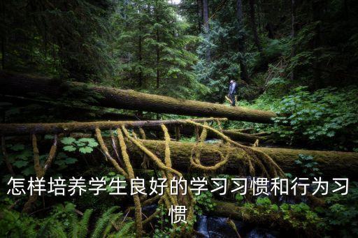 學習方法和學習習慣的培養，培養孩子的學習習慣與方法