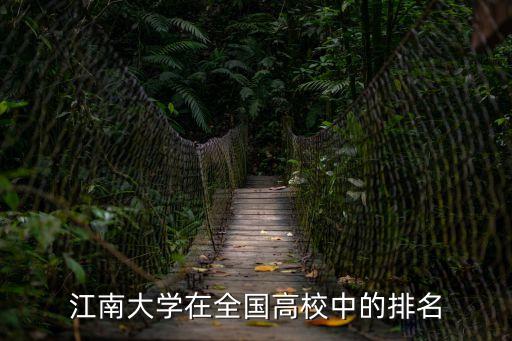 江南大學在全國高校中的排名
