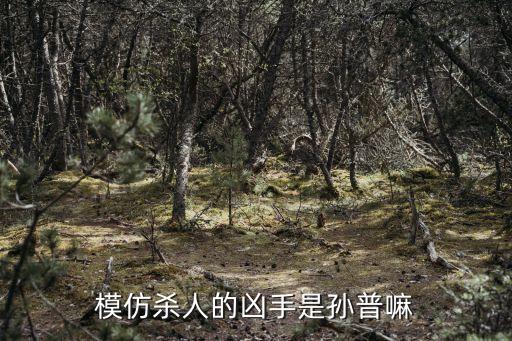 孫普，我能說心理罪系列里我最惡心的就是孫普嗎