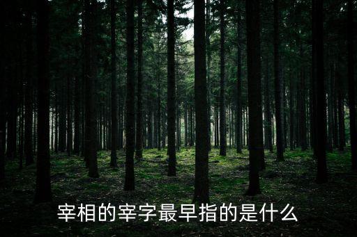 宰相的宰字最早指的是什么