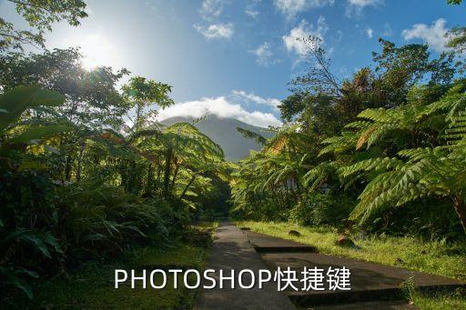 PHOTOSHOP快捷鍵