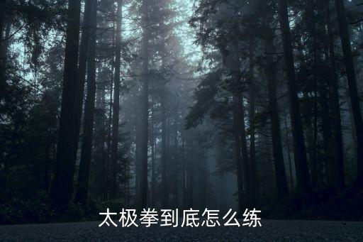 太極拳到底怎么練