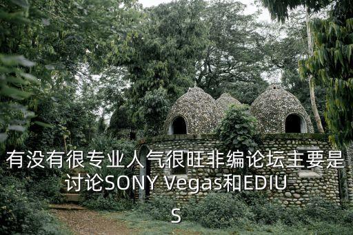有沒有很專業人氣很旺非編論壇主要是討論SONY Vegas和EDIUS