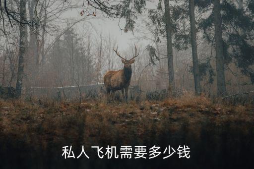 私人機(jī)，中國(guó)私人飛機(jī)多少錢(qián)