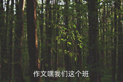 作文嘿我們這個班