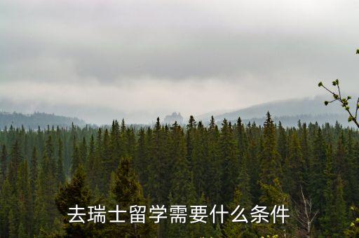 去瑞士留學需要什么條件
