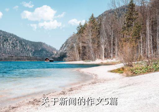 關于新聞的作文5篇