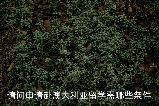 請問申請赴澳大利亞留學需哪些條件