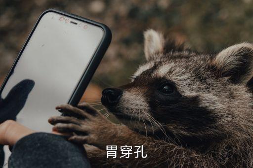 胃穿孔癥狀，胃穿孔