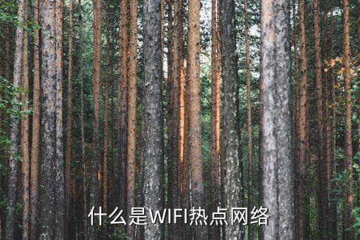 wifi熱點，什么是WIFI熱點