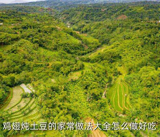 土豆燉雞翅，雞翅燉土豆的家常做法大全怎么做好吃