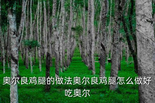 奧爾良雞腿的做法，奧爾良雞腿肉的做法怎么做的cook100