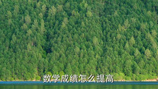 數(shù)學(xué)怎么提高，怎樣提高數(shù)學(xué)成績(jī)