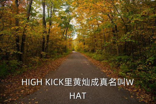 黃燦成，HIGH KICK里黃燦成真名叫WHAT