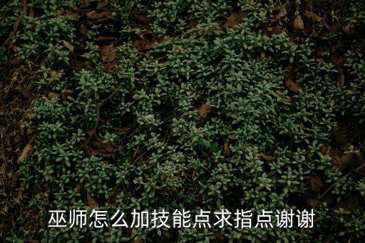 巫師3技能加點(diǎn)，巫師3點(diǎn)什么技能比較適合