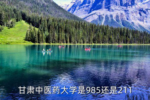 甘肅省中醫藥大學，甘肅中醫藥大學是一本還是二本