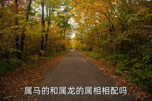 龍和馬的屬相合不合，龍和馬的屬相合不合