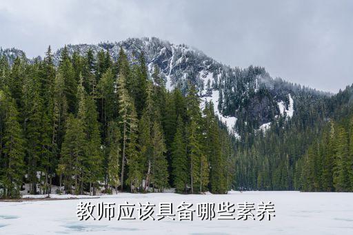 教師的基本素養(yǎng)，教師應該具備哪些素養(yǎng)
