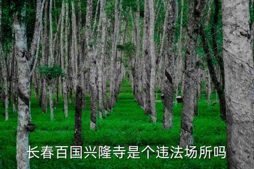 百國興隆寺，長春百國興隆寺是個違法場所嗎