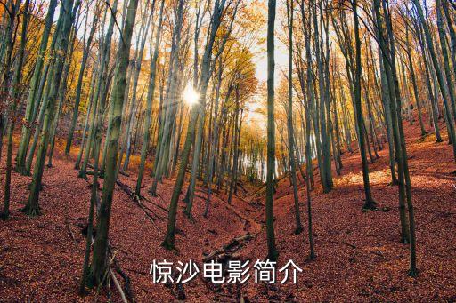 電影驚沙，驚沙電影簡介