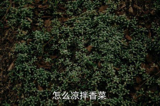 香菜涼拌，香菜涼拌怎么做好吃