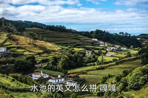 水池的英文，水池的英文怎么拼 嘎嘎