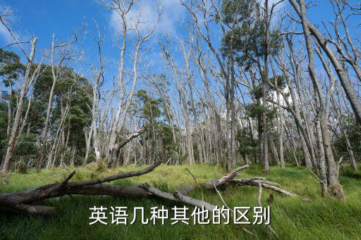 其他的的英文，其他 的英文是什么