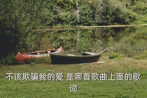 不該欺騙我的愛 是哪首歌曲上面的歌詞