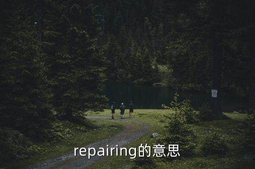 repairing，repairing的意思